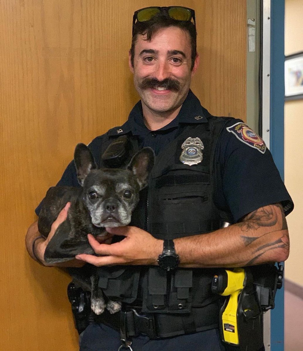 JesseJamesFans's tweet photo. Flashback Friday 
❤️reposting the August 14th 2019.. 😍
THEY FOUND HER!!!!!!!!!! The Amazing officers at Newport PD Found COCO!!!! #jessejames #CocoLoco #fbf #payupsucker #frenchie https://t.co/9gK0aQCLig