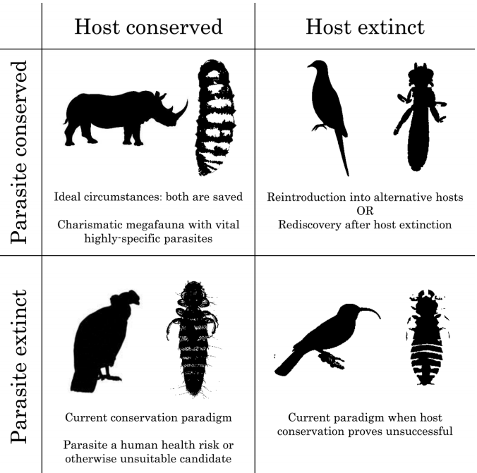 wef's tweet image. Here’s why parasites aren’t as bad you might think - and why we need to save them bit.ly/3fXgoMT #Biodiversity #Conservation