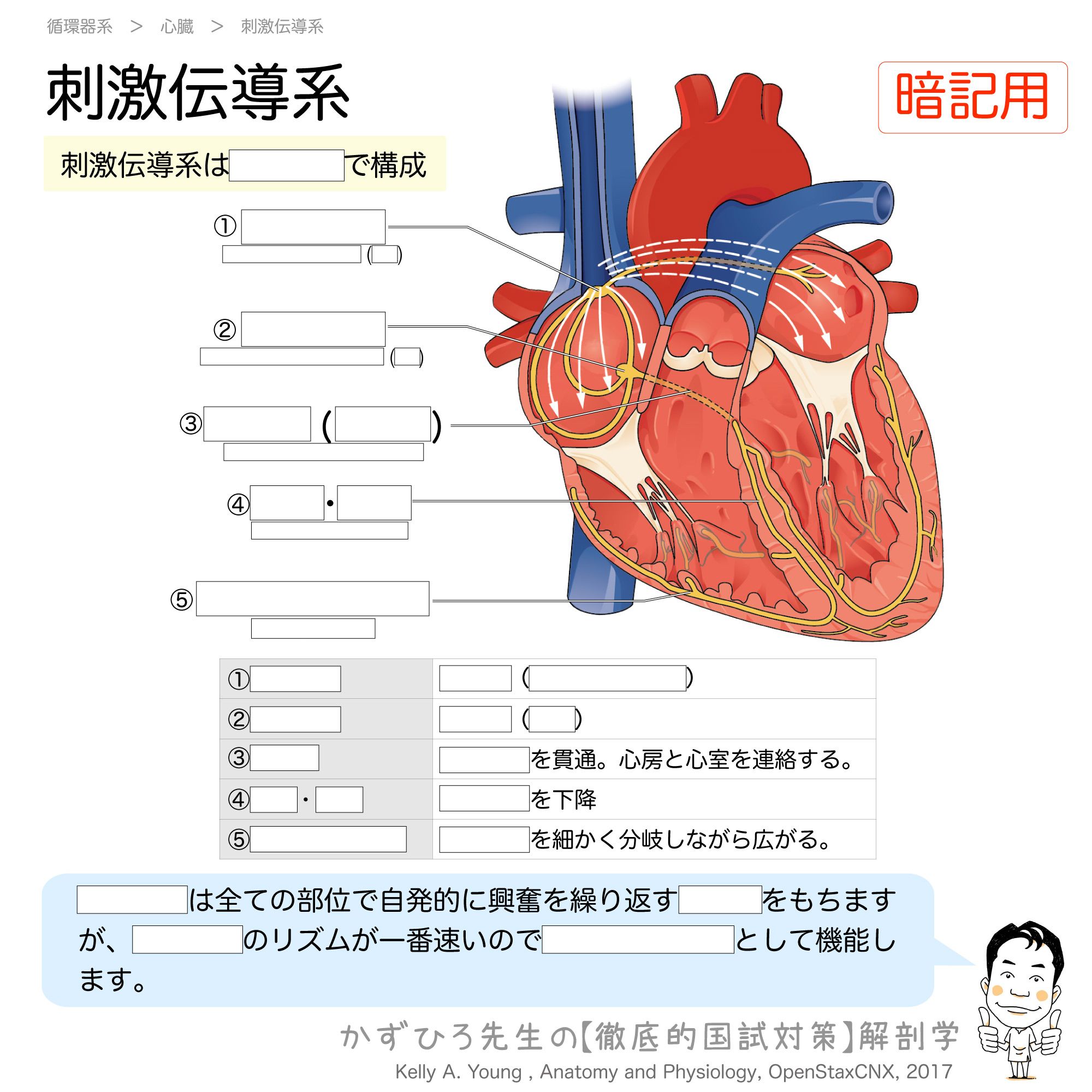 黒澤一弘(かずひろ)解剖学IT教育・指圧師・ラダック on X 黒澤一弘(かずひろ)解剖学IT教育・指圧師・ラダック on X