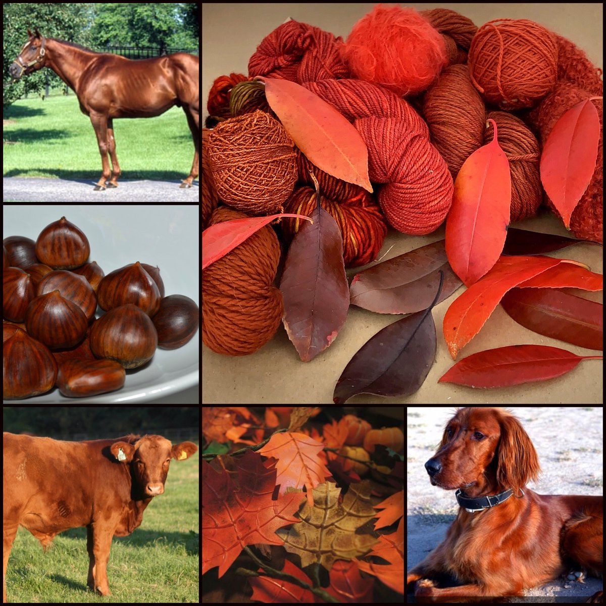 Edelman Leather tweet media