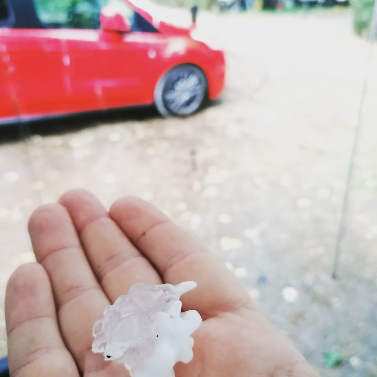 Cibersam tweet media