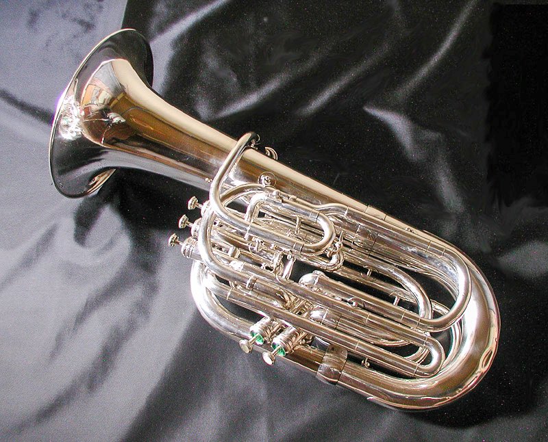 The Dictionary tweet media