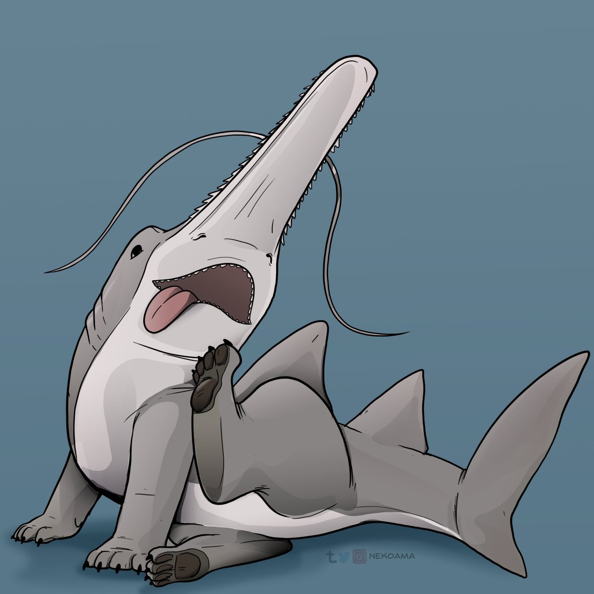 Sawnose Sharkpup