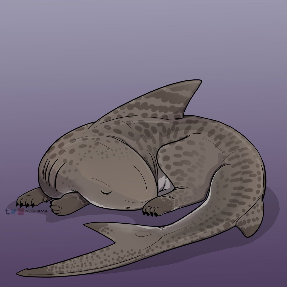 Tiger Sharkpup