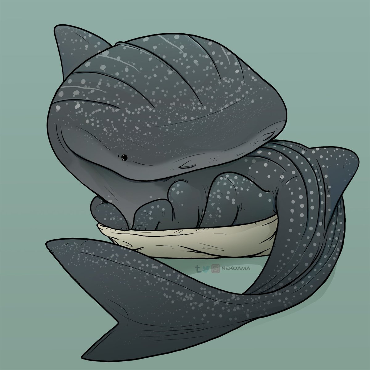 Whale Sharkpup