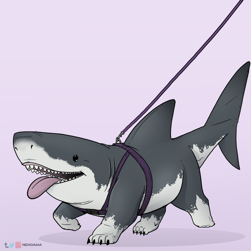 Great White Sharkpup