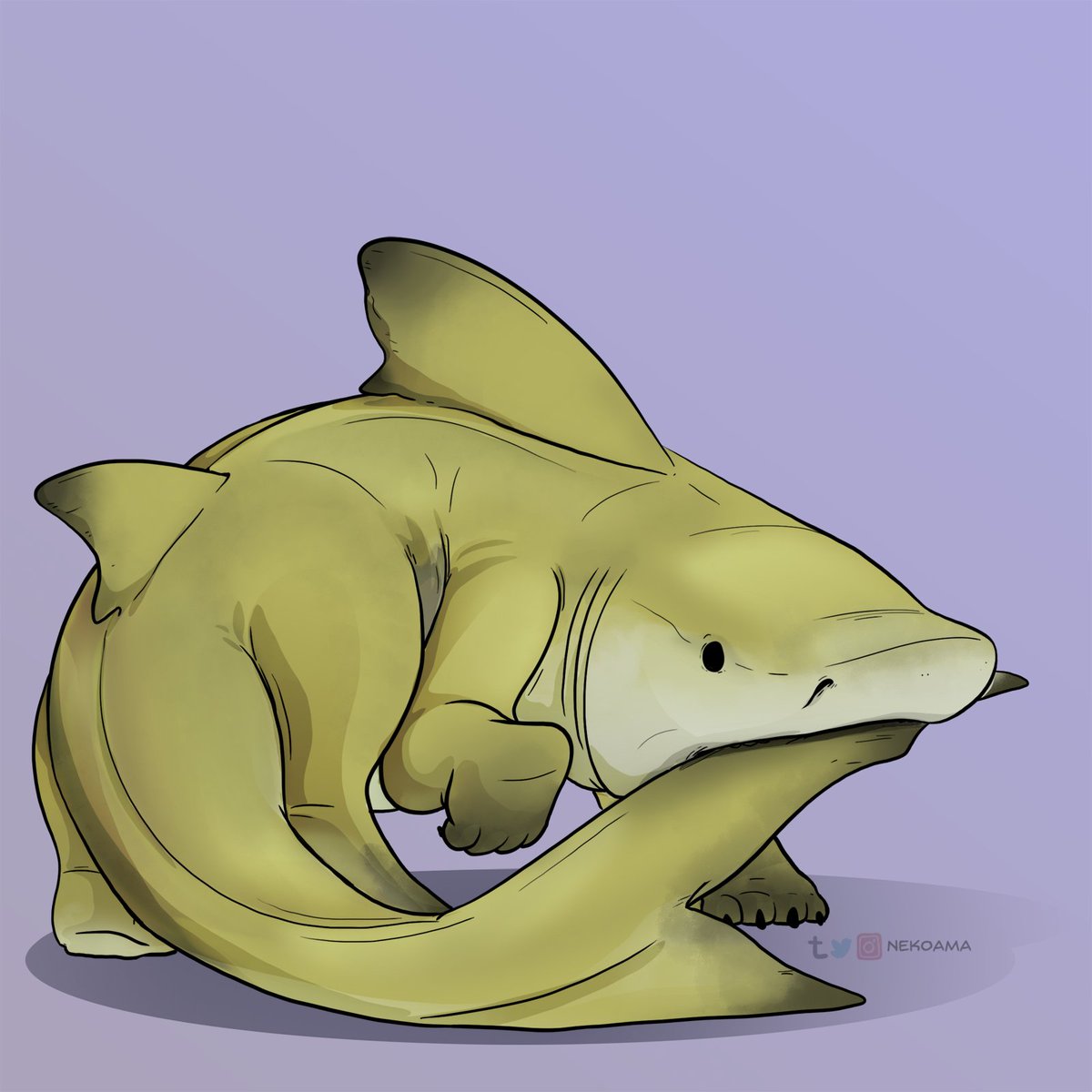Lemon Sharkpup