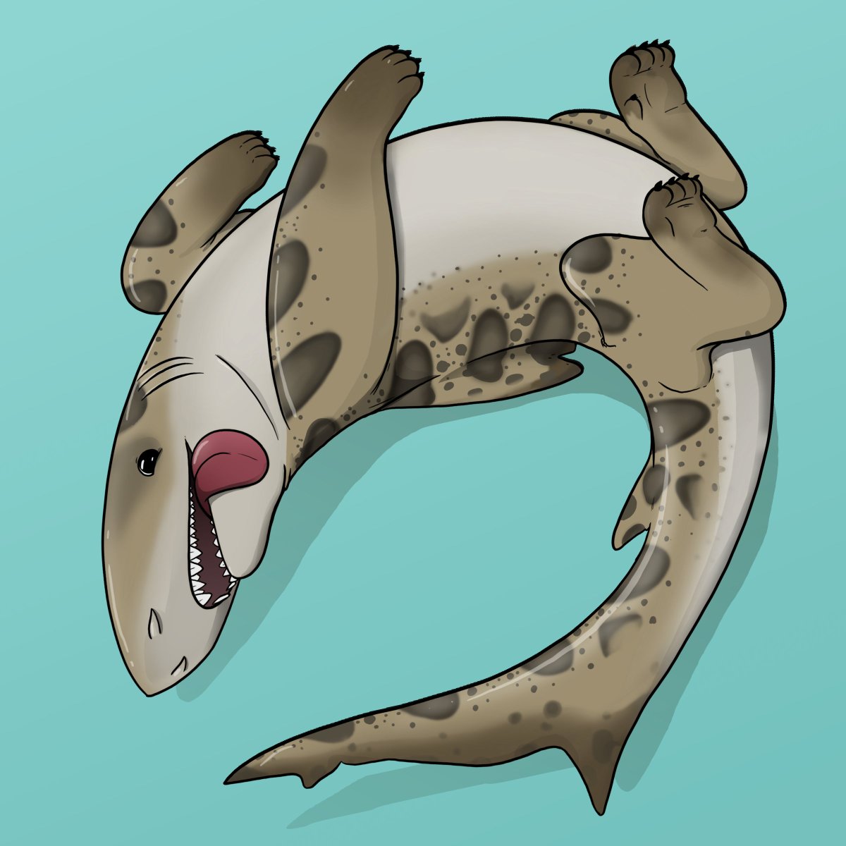 Leopard Sharkpup