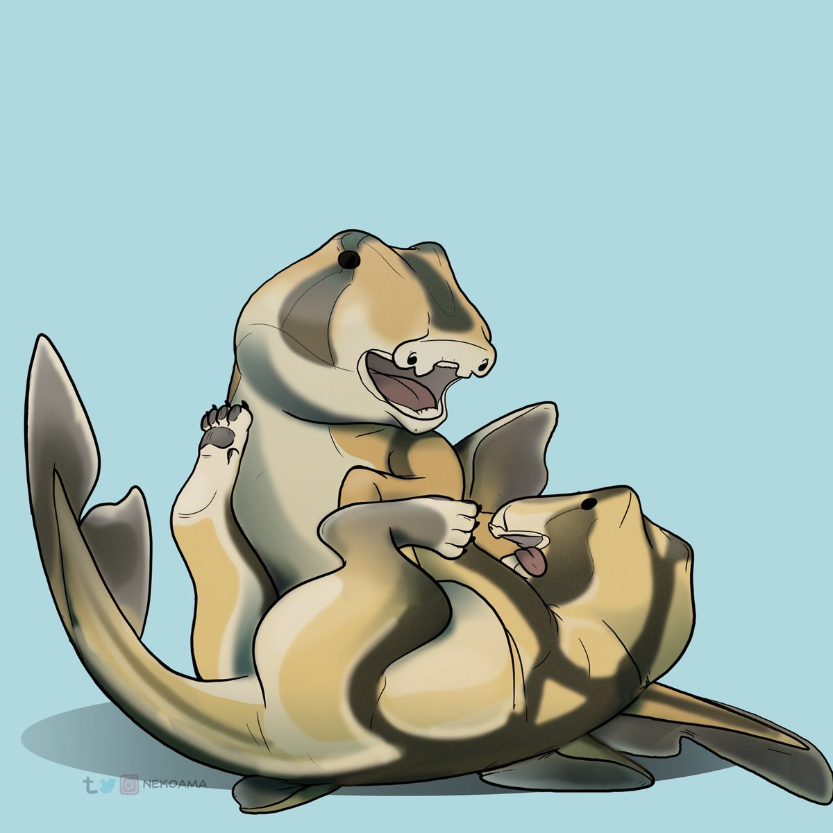 Port Jackson Sharkpup