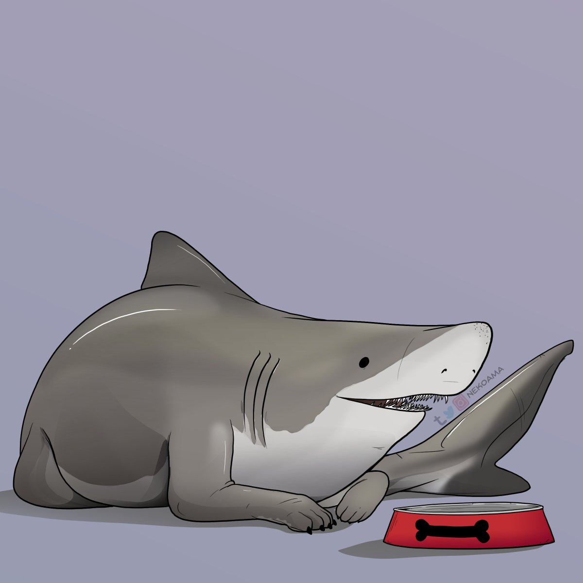 Sandtiger Sharkpup