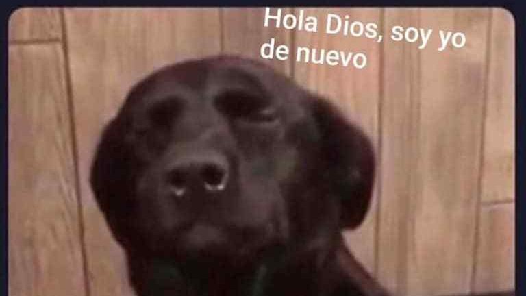 Yo riéndome de los memes de Anabelle//Yo a las 3 AM al escuchar que se cayo algo