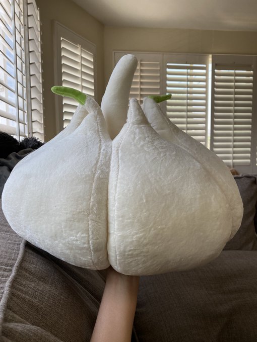 queen of gifts @connperignon got me the only plush i could ever like for my birthday 🧄🧄🧄 https://t.c<a class="tags" href="/tag/connperignon">@connperignon</a>