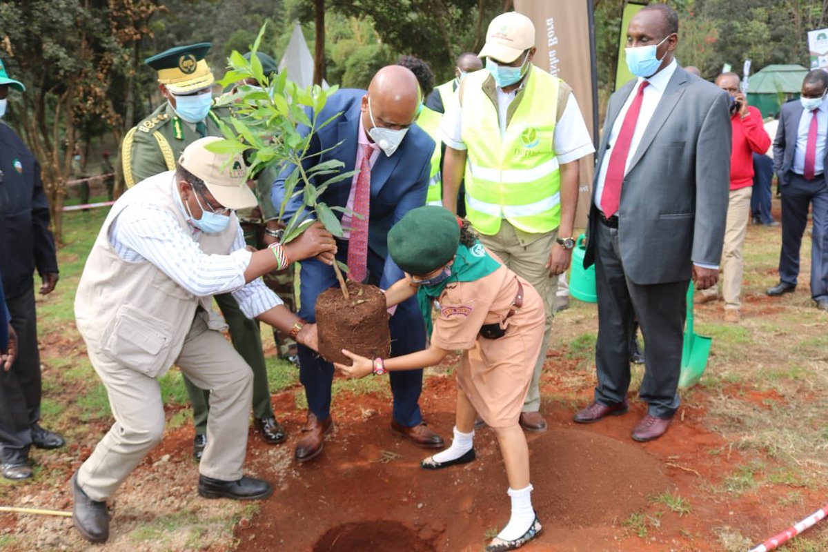 KeForestService's tweet photo. ...carried out by Kenya Forest Service, KEFRI, NEMA and other stakeholders including the National Museums of Kenya and the Nairobi Metropolitan Services and coordinated by the Ministry of Environment and Forestry. https://t.co/nrs0oFYXXG