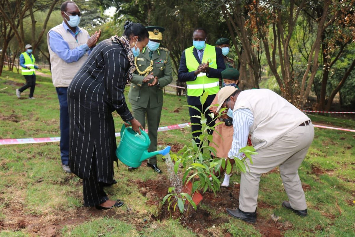 KeForestService's tweet photo. ...carried out by Kenya Forest Service, KEFRI, NEMA and other stakeholders including the National Museums of Kenya and the Nairobi Metropolitan Services and coordinated by the Ministry of Environment and Forestry. https://t.co/nrs0oFYXXG
