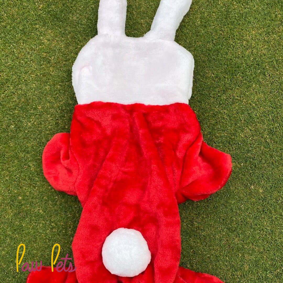 Disfraz de conejo rojo 🐰❤️
Disponible en talla S

Largo 30 cm 
Cintura 42 cm #conejo #disfrazparaperro #mexico #rojo