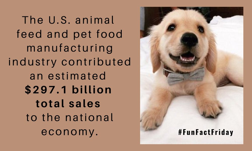 #FunFactFriday #DISInsights