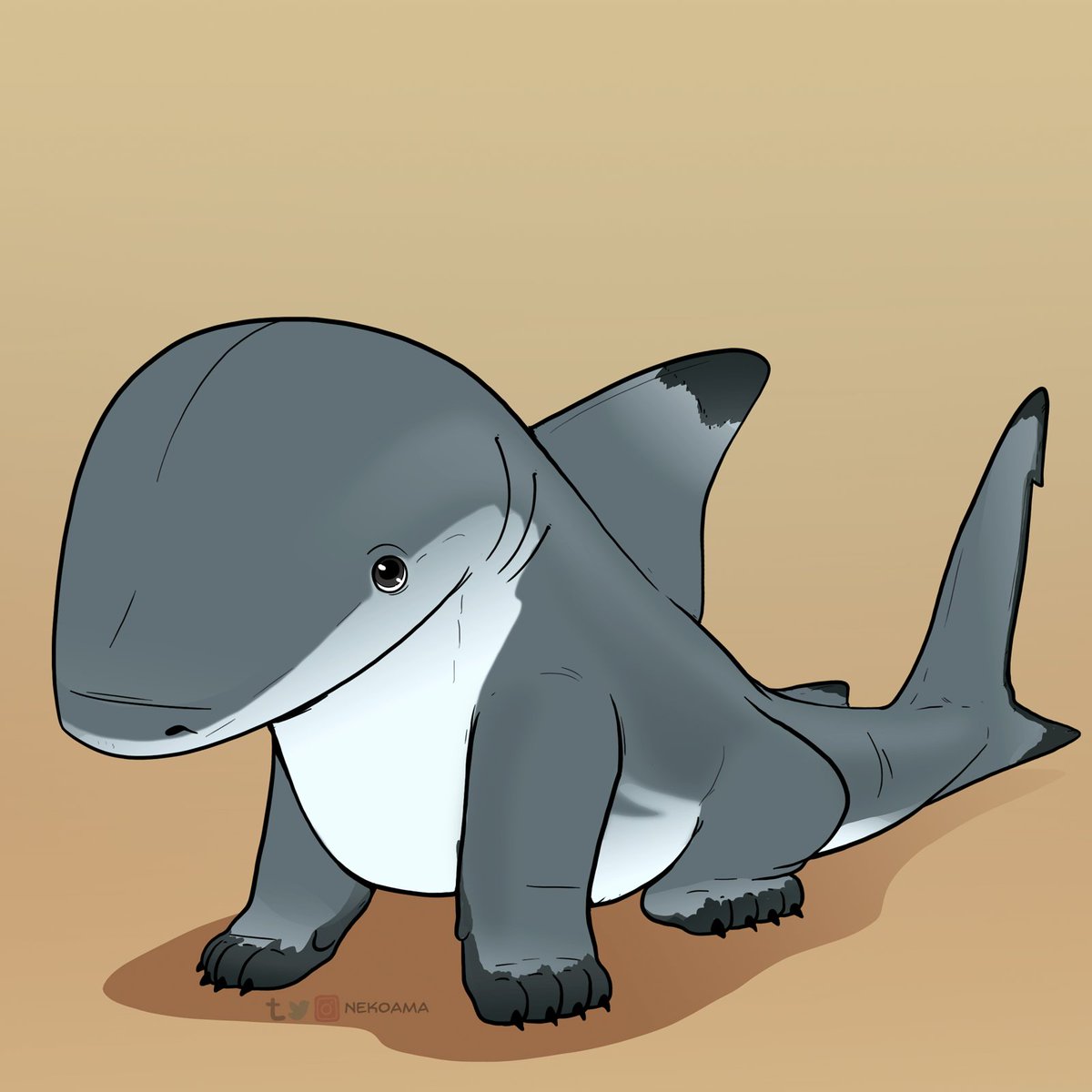 Blacktip Reef Sharkpup