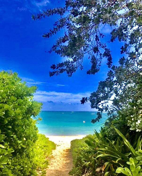 hawaiifujikko tweet picture