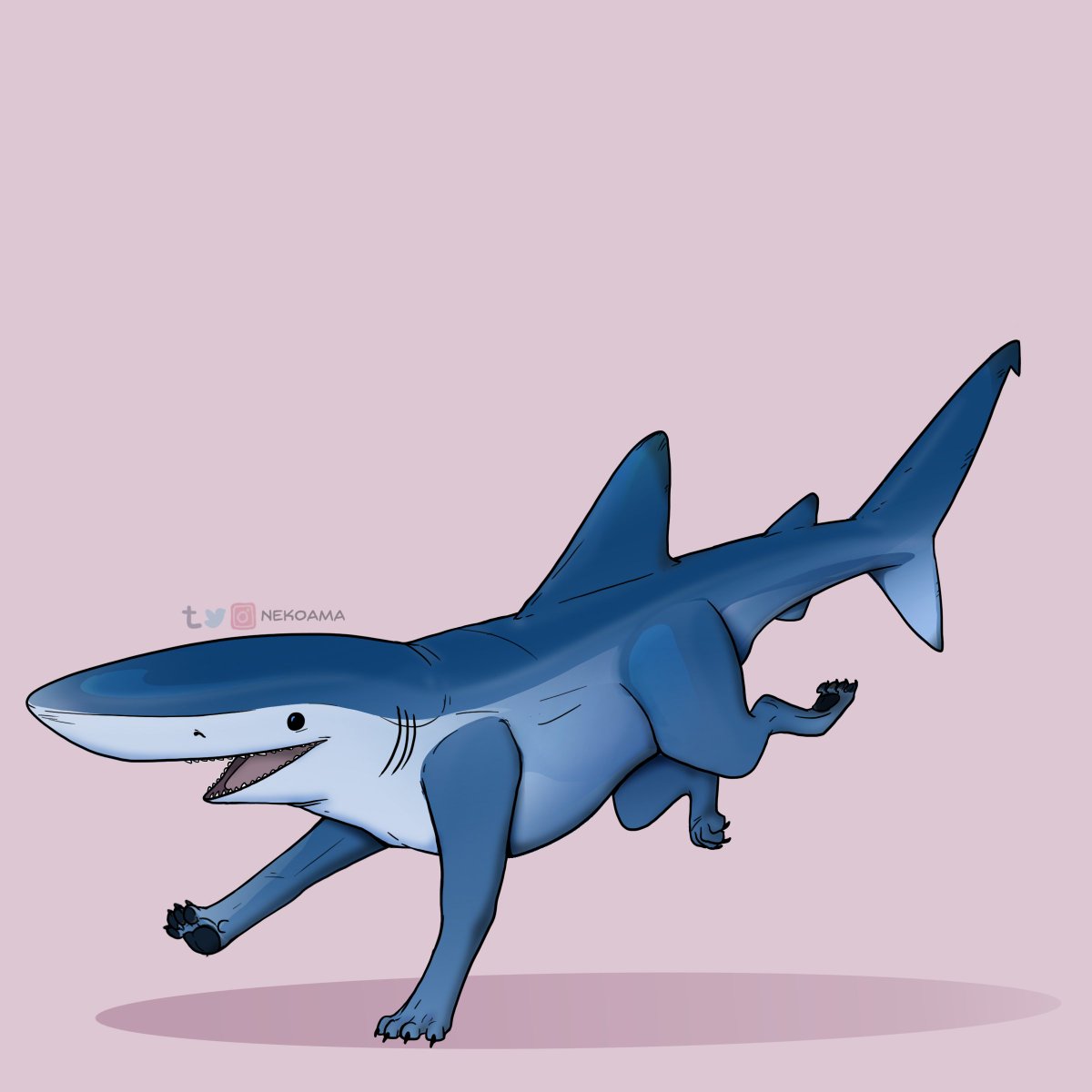 Blue Sharkpup