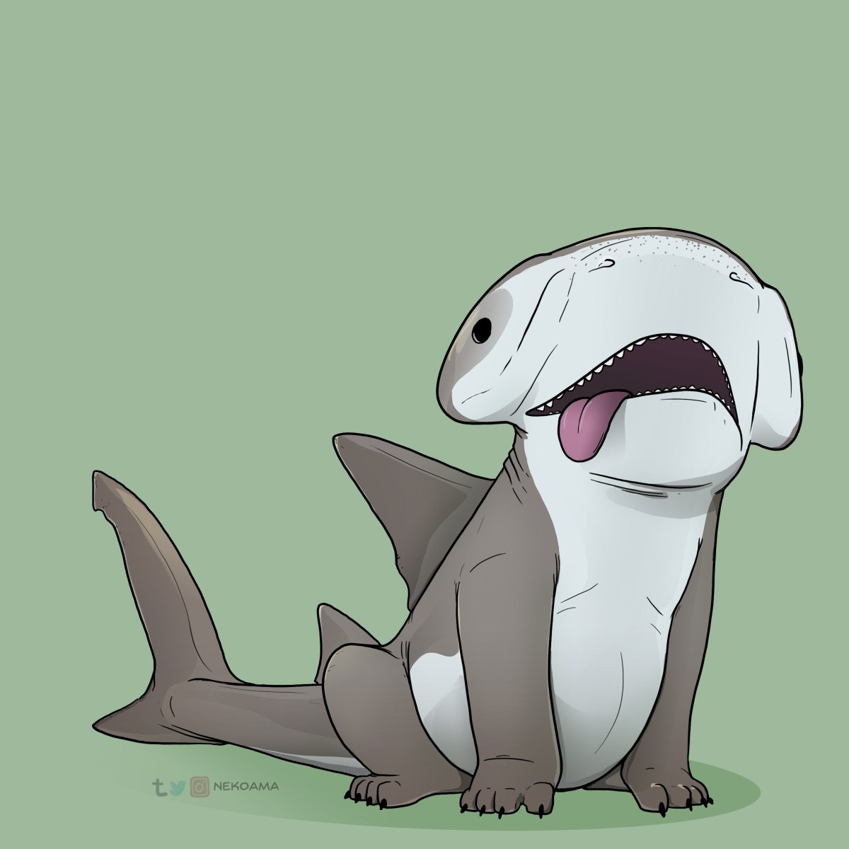 Bonnethead Sharkpup