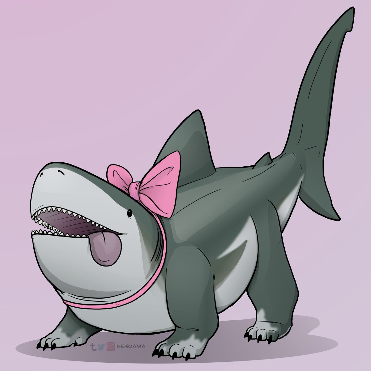Bull Sharkpup