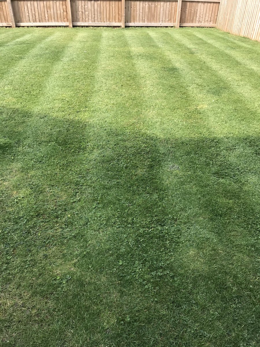 When you’ve had a day when there weren’t many controlables, cut the grass. It quietens the mind #avoidthenoise