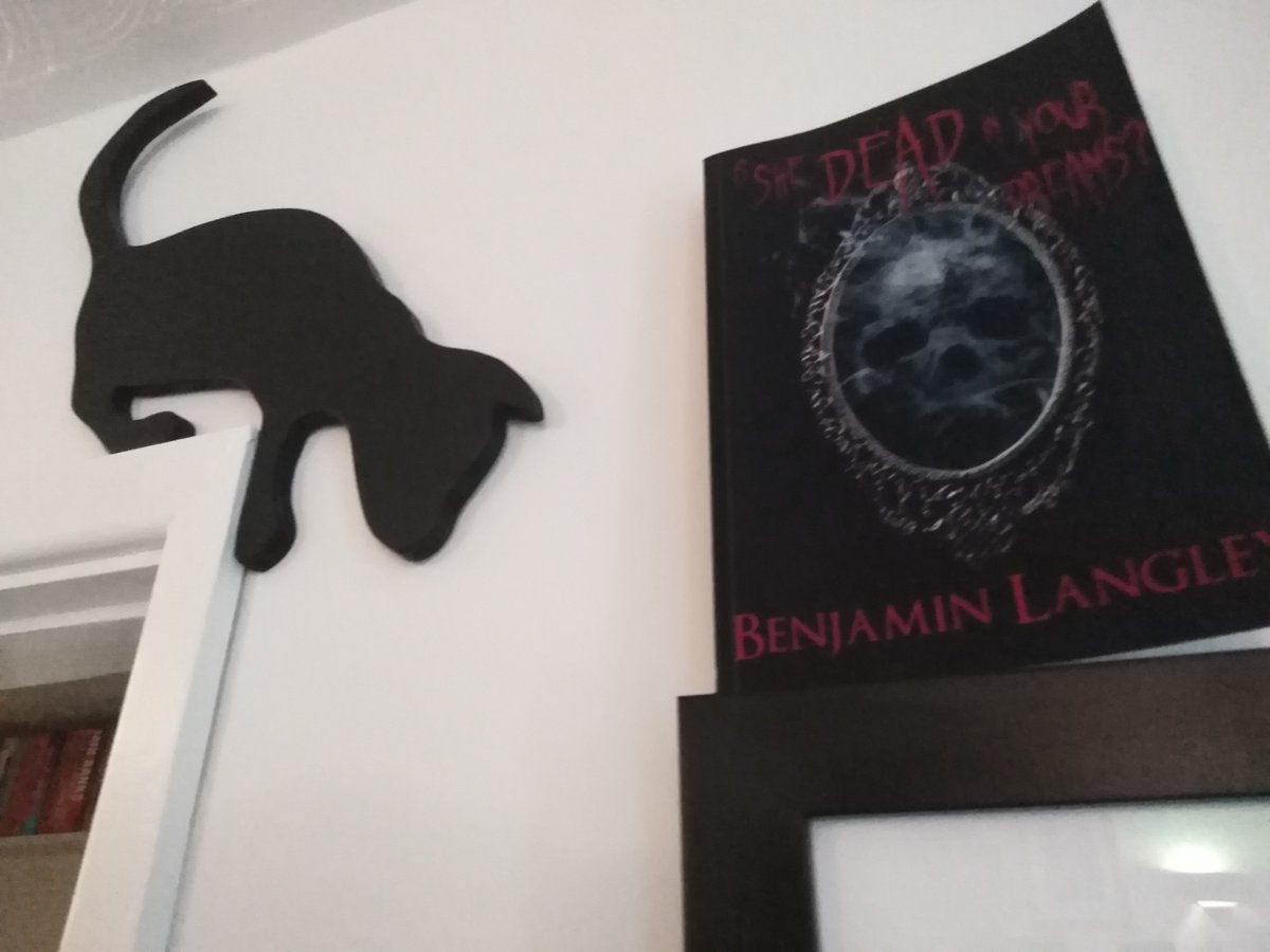 Competition time!
UK Only.
Like my facebook page, like and share the post to win a copy of 'Is She Dead in Your Dreams?' and a door frame cat.
Please share.
facebook.com/BenjaminLangle…
