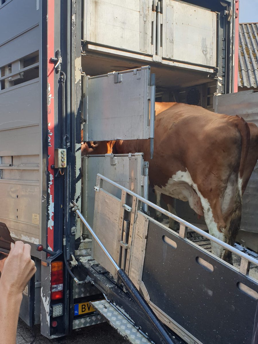 Arjan Pakkert 🐄 tweet media