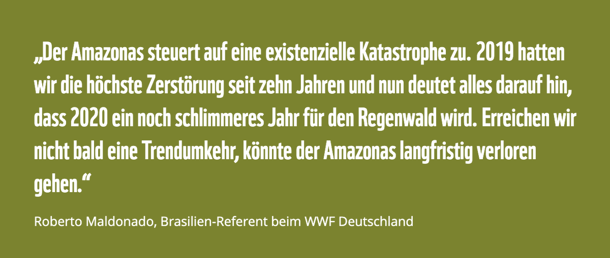 RheaWellber's tweet photo. Merke: Holzkopf an der Regierung heißt nicht, dass es den Wäldern gut geht. Oder den Menschen. Oder dass die Pandemie im Griff wäre. Oder dass irgendwas im Griff wäre. https://t.co/sdWeIF1OFK