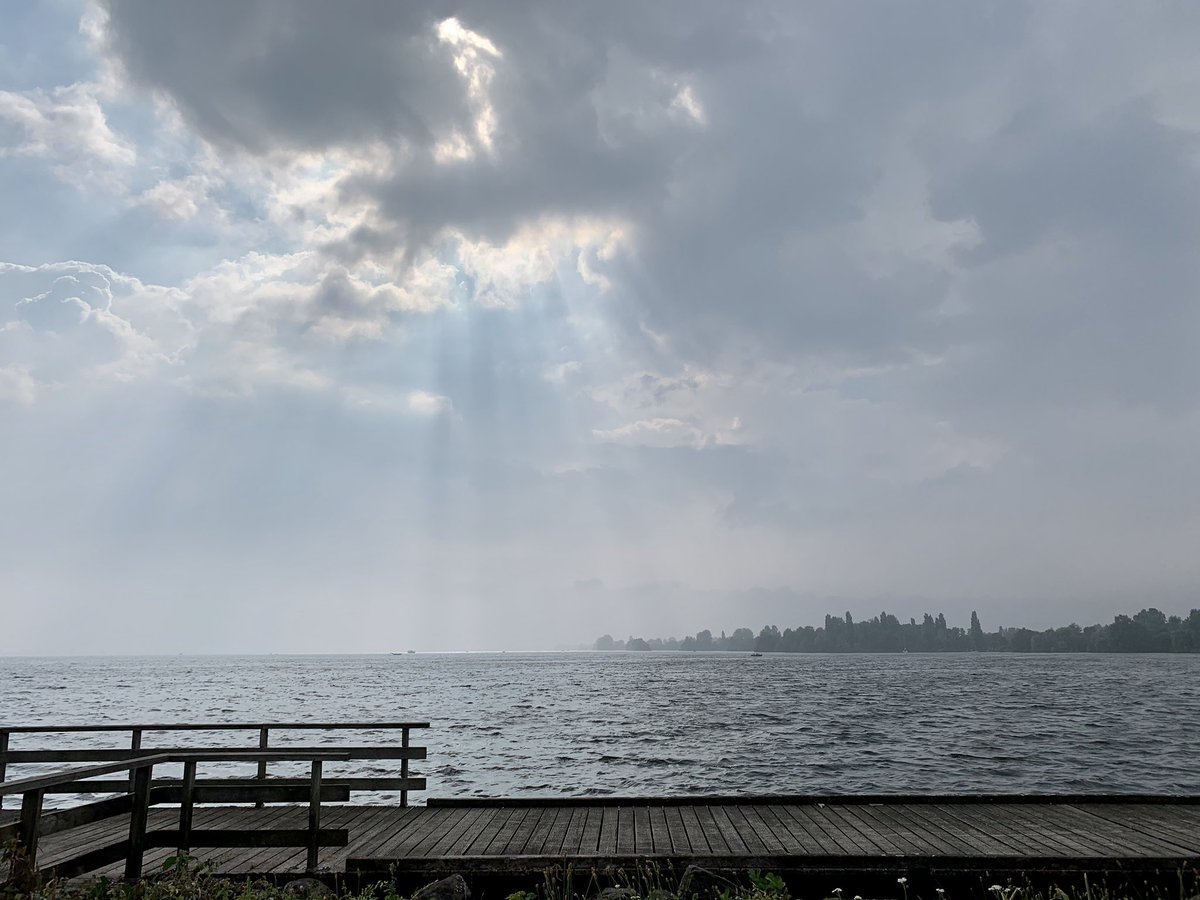 ntenhagen's tweet photo. Bijzonder weer op de poel! #aalsmeer https://t.co/oC0FDJuBTE