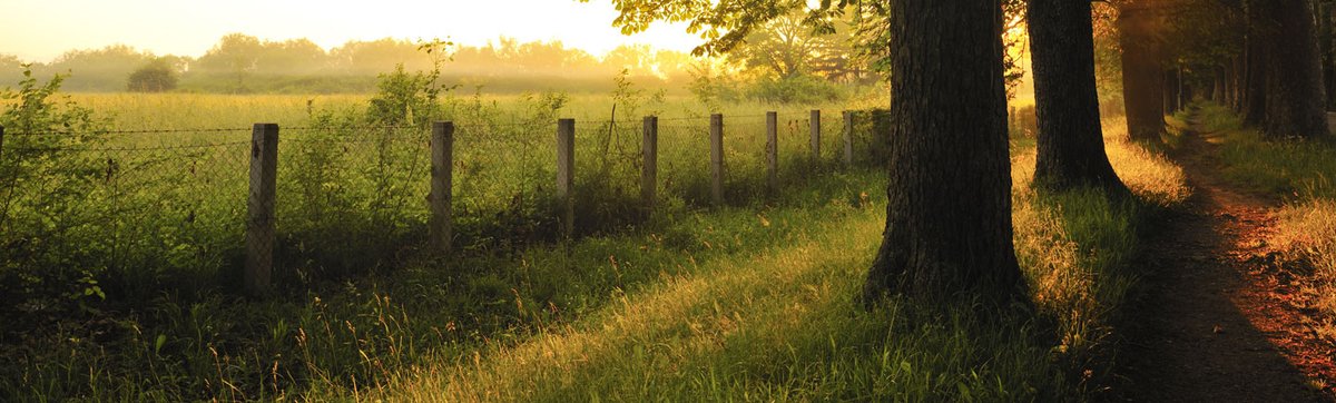 PremierCloudInc's tweet photo. Mossy Oak Properties: A Seamless Migration

https://t.co/CjfFFY8SCw

#gsuite #googlecloud #googlepartner https://t.co/fjI2yaEaJK