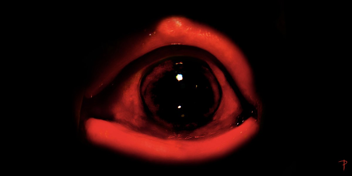 Conductor_P's tweet image. Hi, I'm a multimedia horror artist &amp;amp; creator of the webseries 2h32 on YouTube.

Instagram : instagram.com/conductor.p
YouTube : youtube.com/channel/UCgTGr…
Reddit : reddit.com/user/Conductor…
Patreon : patreon.com/PNightmares
Merch+Prints : teespring.com/stores/ps-stor…