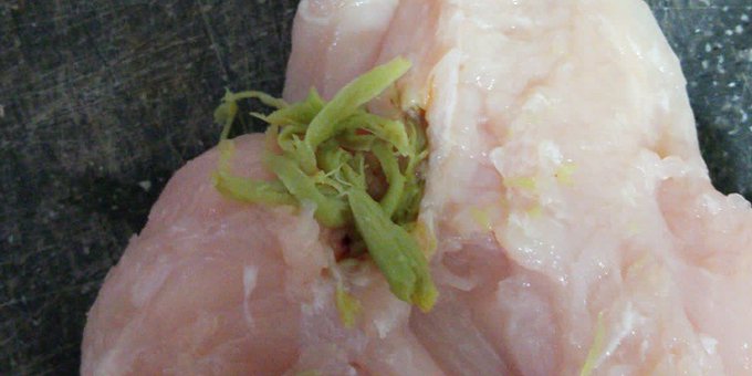 La enfermedad del músculo verde es una lesión que se produce en el pollo por falta de riego sanguíneo en los músculos pectorales tras un aleteo intenso. No se detecta hasta que se corta. No hay patógenos implicados->se puede retirar y comer el resto  #gominolasdepeseta