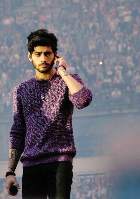 ZaynPurple sweater