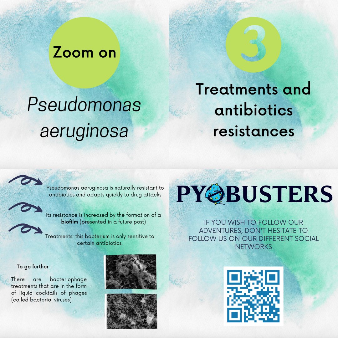 Hi everyone!
Here is the last episode of the mini-series zoom on Pseudomonas aeruginosa!
See you soon!
If you want to support our project you can give us a hand by visiting our crowdfunding page: helloasso.com/associations/i…