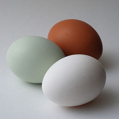 El color de los huevos depende principalmente de factores genéticos (raza) pero también de otros como la alimentación. No determina su calidad. Se debe a diferentes pigmentos: marrón->protoporfirina IX, verde-> oocianina+protoporfirina IX, blanco->ninguno  #gominolasdepeseta