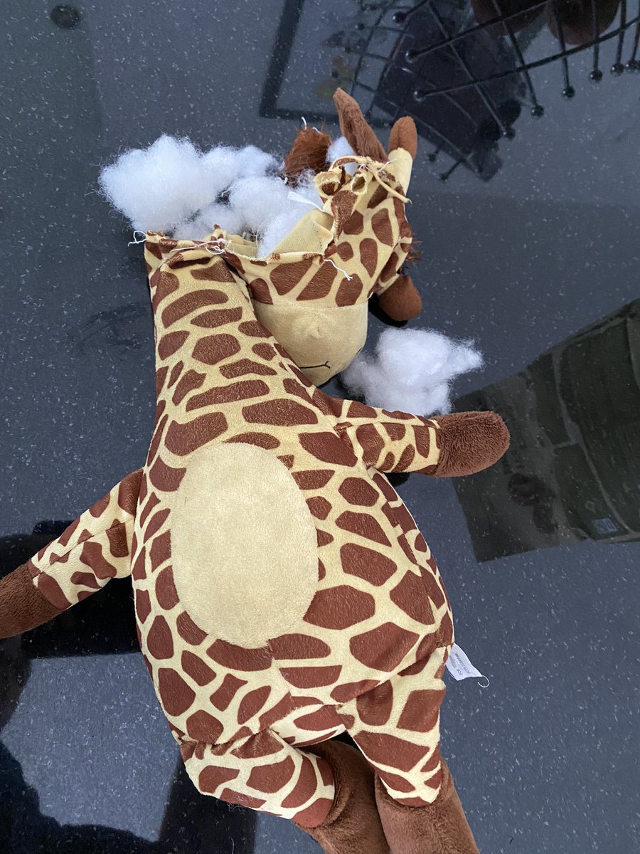 winston_boxer's tweet photo. My dead birthday giraffe WWHHOOOOOOF https://t.co/FY9D6Bz5Em