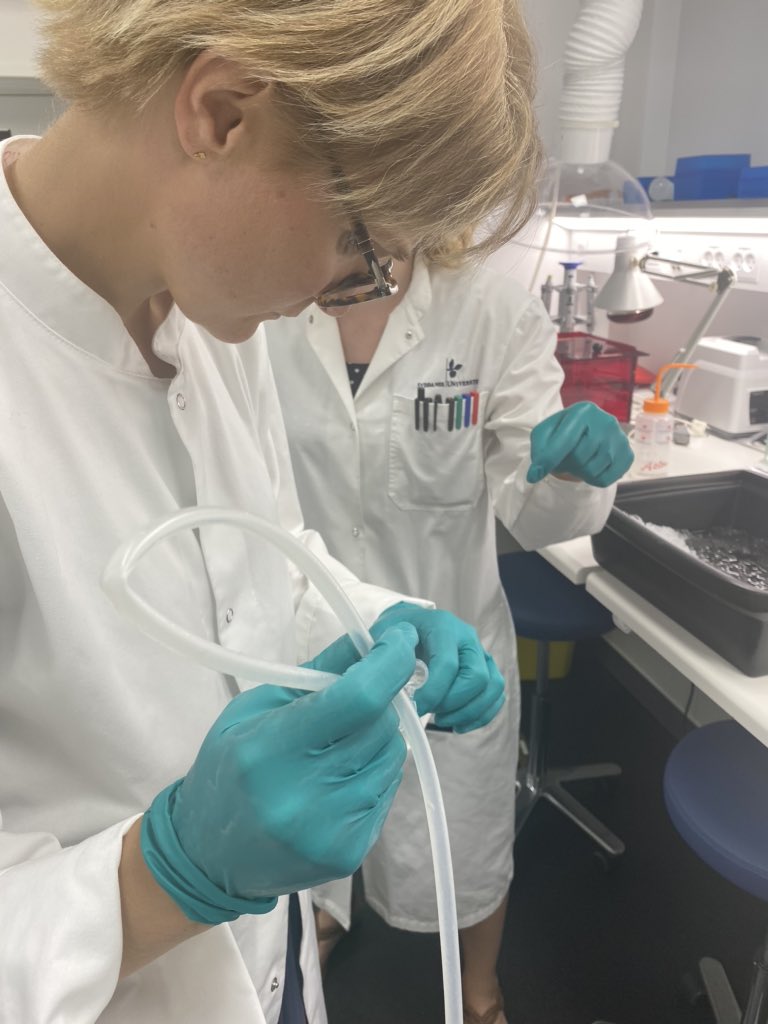 MMLauridsen's tweet photo. During our 3-day lab visit we isolated murine adipocyte nuclei, stained and microscoped human adipose tissue, and got to hang out with the coolest basic scientists we know 🧠💙🔬🧬@ATLAS_SDU @susmandrup @FLASH_OUH @LiverGroupSWJ #dkforsk https://t.co/3i19gLliEy