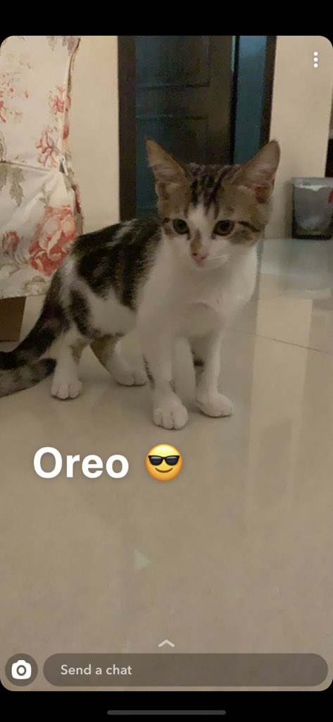 𝑵𝒂𝒅𝒂 𝑺𝒂𝒍𝒆𝒉 ♡ 🎯 tweet media