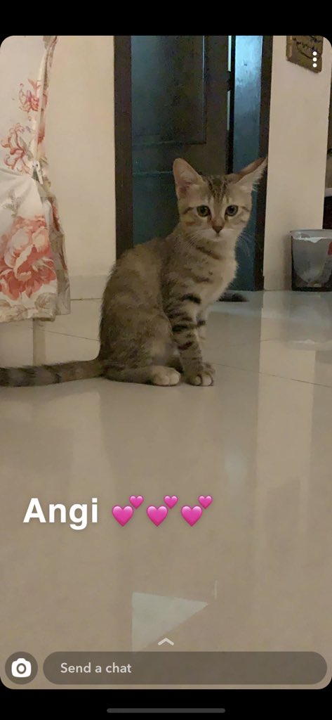 𝑵𝒂𝒅𝒂 𝑺𝒂𝒍𝒆𝒉 ♡ 🎯 tweet media