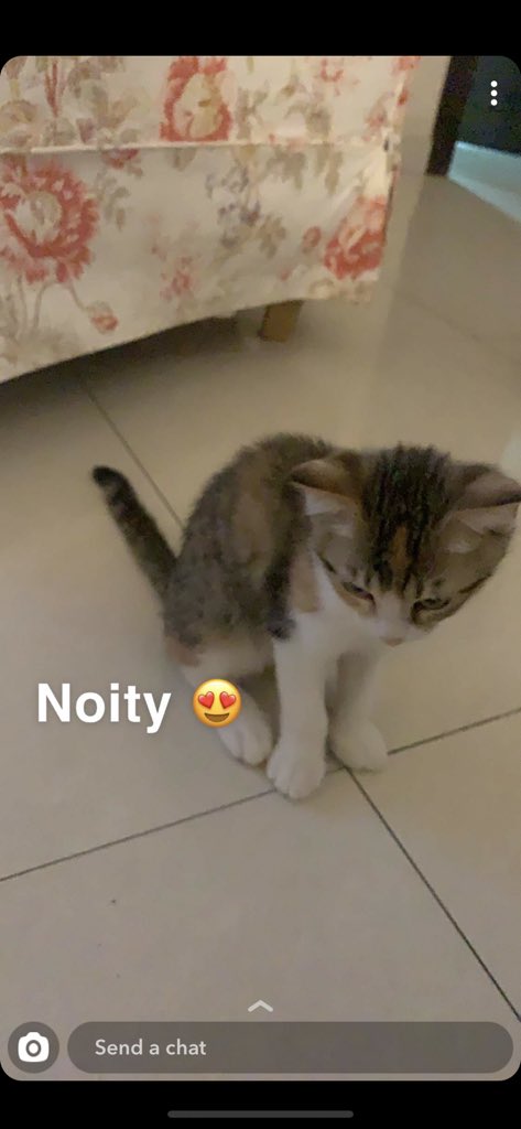 𝑵𝒂𝒅𝒂 𝑺𝒂𝒍𝒆𝒉 ♡ 🎯 tweet media