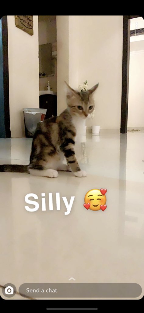 𝑵𝒂𝒅𝒂 𝑺𝒂𝒍𝒆𝒉 ♡ 🎯 tweet media