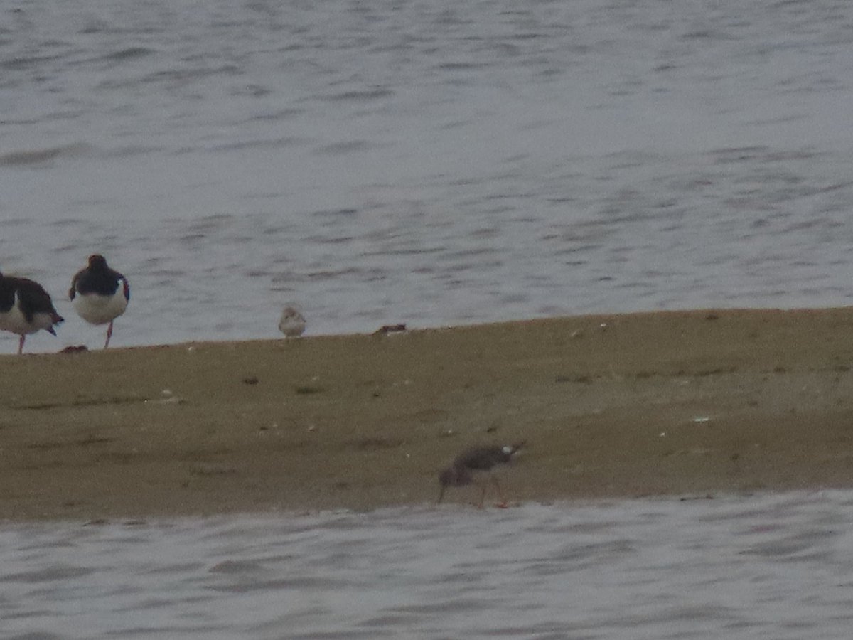 Matt Doyle tweet media