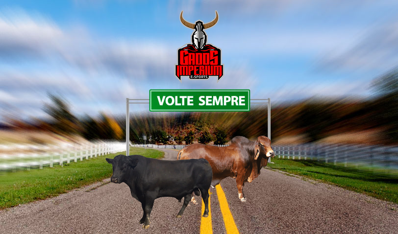 Gados Imperium tweet media