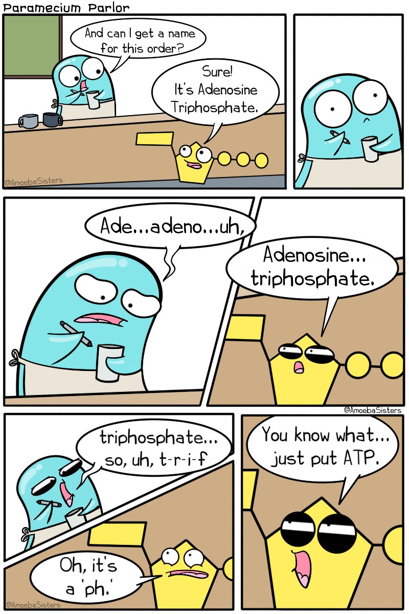 AmoebaSisters's tweet image. And then DNA walked into the coffee shop...
#science #scicomm #sciart