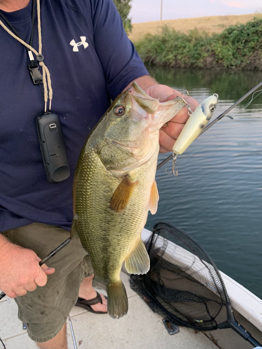 JNoutary's tweet photo. 3” Cigarillo Bait was just blistering the bass last night. Pre-order yours now MT Custom Baits on Facebook. #gethooked https://t.co/7OusaAr79u