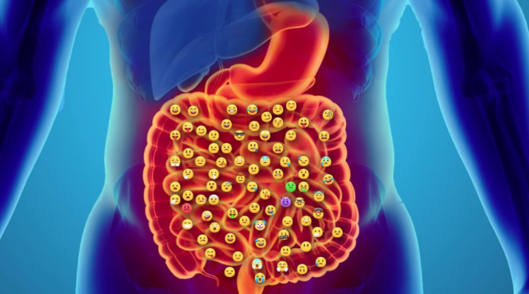 Take a moment to consider your gut and its trillions of residents. Microbiome City: Our Inner Emoji go.ixcela.com/blog/our-inner…

#emoji #microbiome #ixcela #guthealth #drerikablog