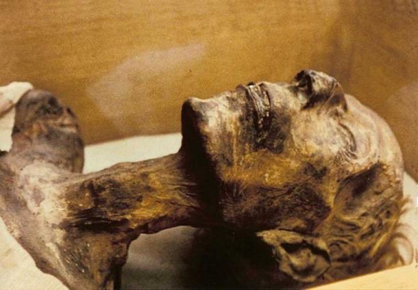 The last I’ll present and one of the most dominating pieces of information in this thread(in my opinion) is the fact that cocaine and tobacco were found in Ancient Egyptian mummies.These drugs were only located in one area during this time and it wasn’t in Africa.