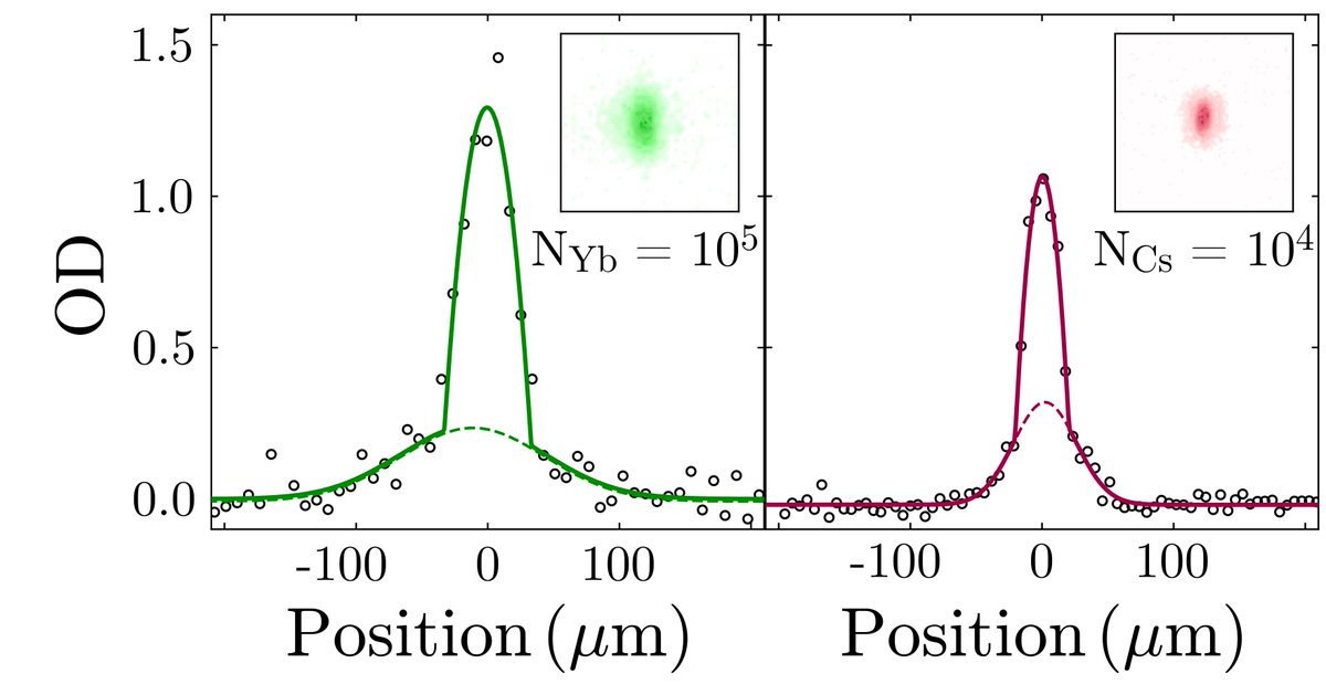 Update from the <a href="/QSUMproject/">⚛️QSUM ⚛️</a> CsYb experiment. We've added a bichromatic optical trap and can now produce dual-species BECs of Yb and Cs. This opens up the study of quantum droplets with @jqcDurNew and @DurhamQlm theory colleagues. <a href="/DurhamPhysics/">Durham Physics</a>