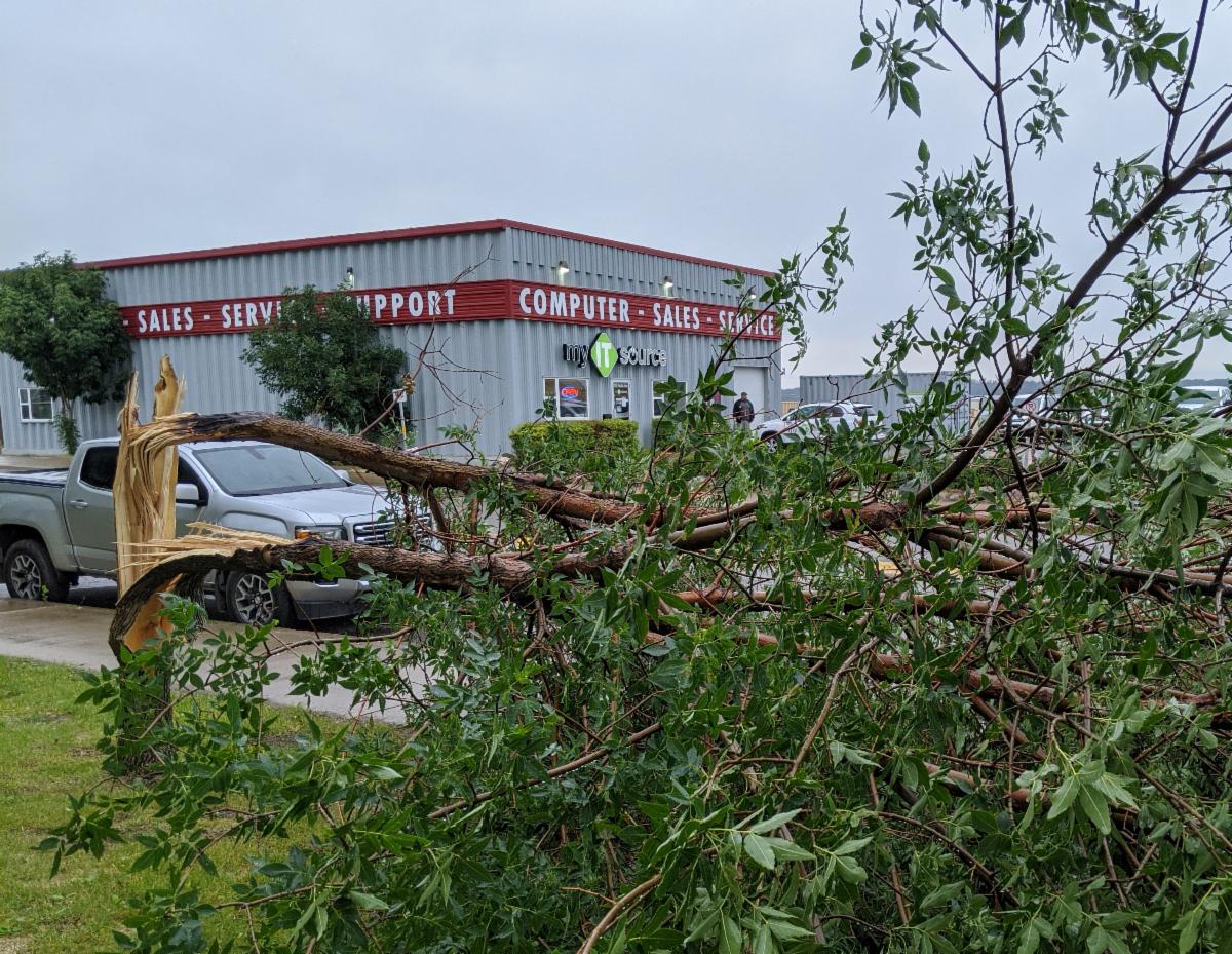 myITsourceca's tweet photo. Our local casual-tree from last night.
Thank you, thank you I'm here all next week. Don't forget to tip your socially-distanced-essential-service-personnel, they're working hard out there!
#prairiestorm #BDNMB #downedtree #myitsource https://t.co/JxaL9L8txr